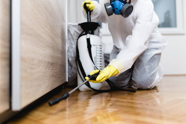 Insect Control in Clifton Forge, VA