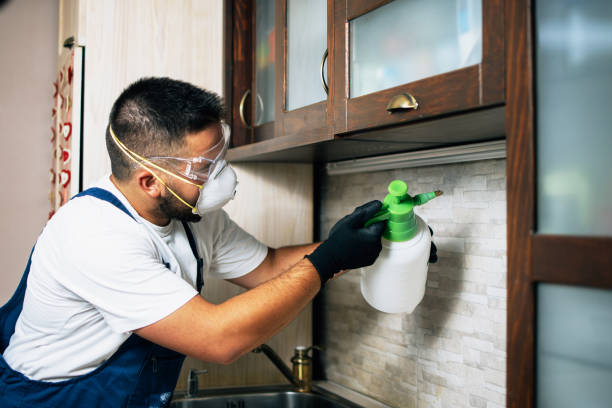 Best Best Pest Control Companies  in Clifton Forge, VA