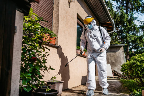 Professional Pest Control in Clifton Forge, VA