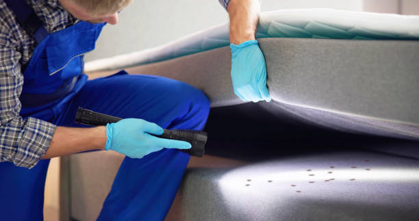Best Affordable Pest Control Services  in Clifton Forge, VA