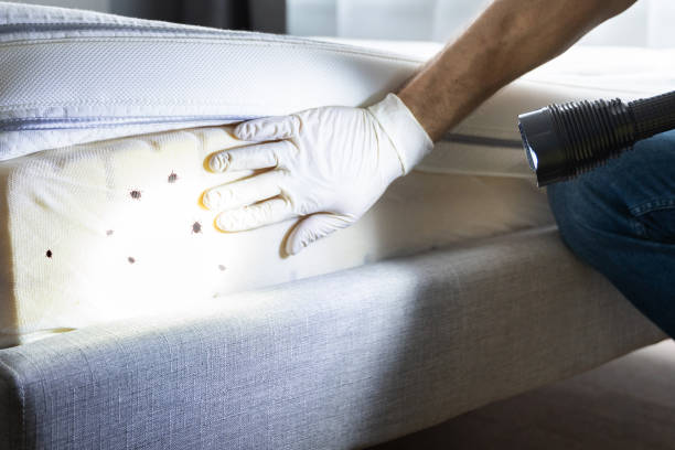 Best Pest Inspection Near Me  in Clifton Forge, VA