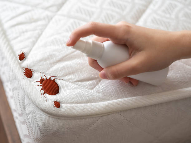 Best Pest Prevention Services  in Clifton Forge, VA